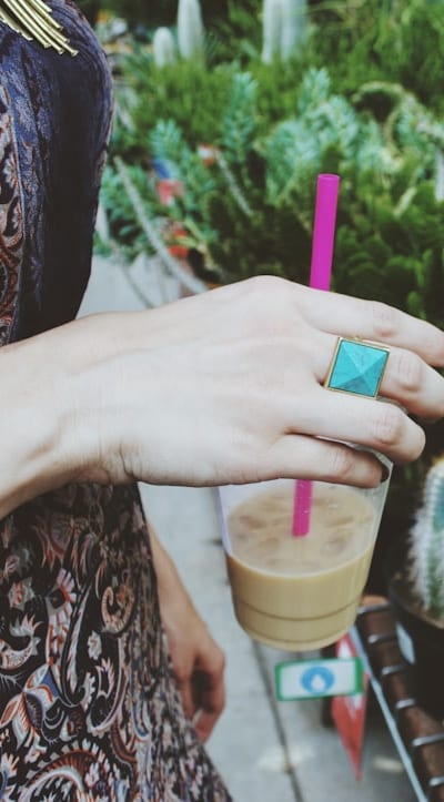 Aquaponics setup with bean plants and filtration system