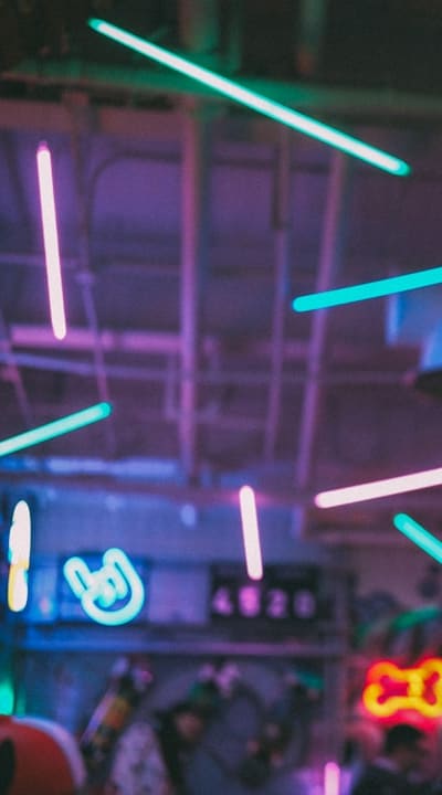 Aquaponics system with bean plants under LED grow lights