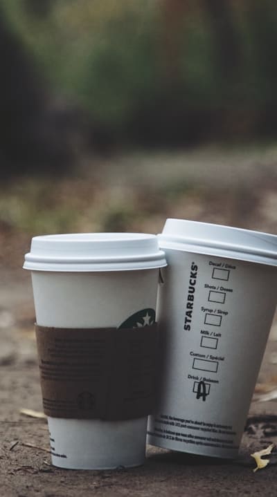 Brown leaves on bean plants: prevention and solutions