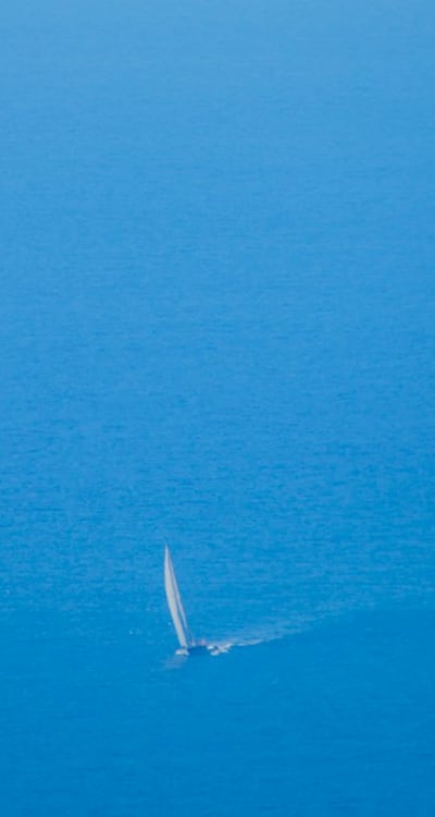 Tasty and versatile beans for culinary creations.