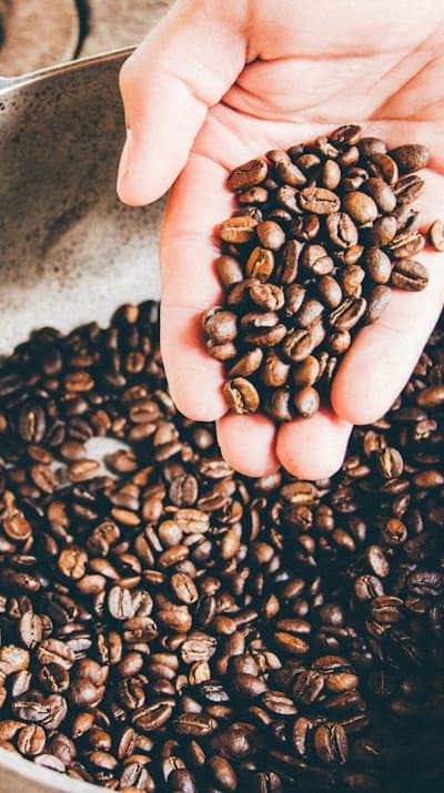 Tips for storing beans to ensure freshness.