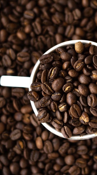 Beans thrive in a hydroponic system with specific nutrient requirements.