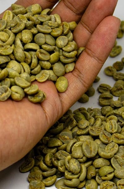 Natural pest control for bean plants: companion plants and good garden hygiene.