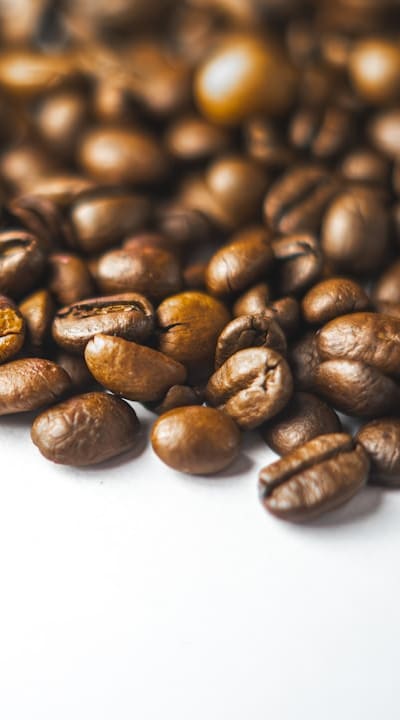 Harvesting beans with pruning shears - tips and tricks