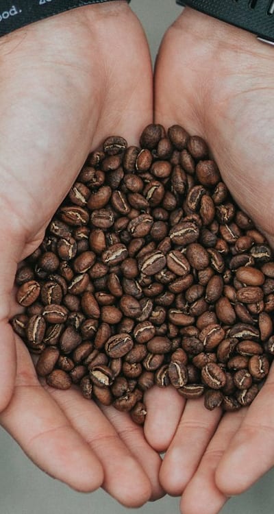 Starting beans from seed offers cost-effectiveness.