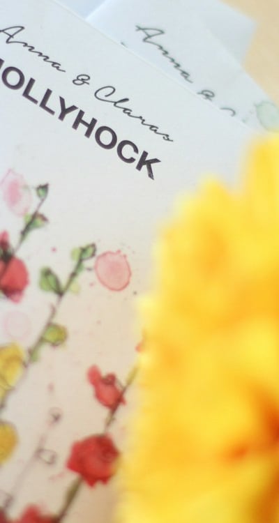 Harvesting beans at the right time is crucial.