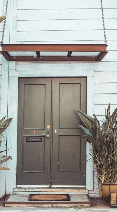 A healthy and vibrant beet plant