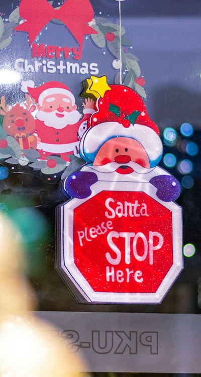 A close-up of thriving bell pepper plants