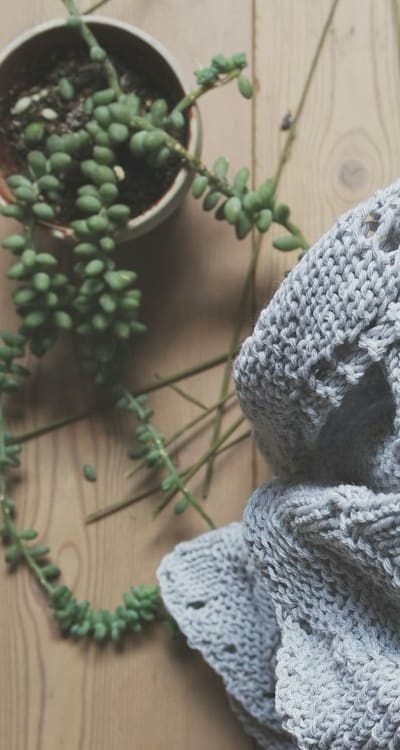 Companion plant and plant spacing guide for Bell Peppers