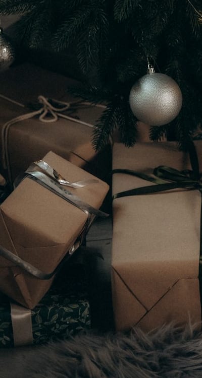 Pruned bell pepper plants for healthy and productive crops