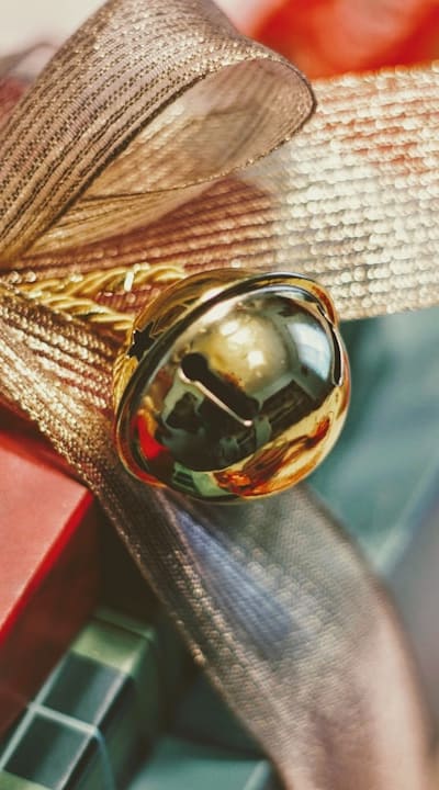 Saving Bell Pepper Seeds for Future Planting