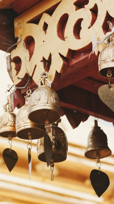 Harvesting bell peppers: signs, techniques, and storage methods.