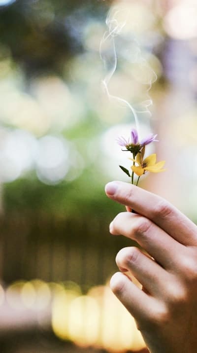 Alt text: Beautiful bulb flower arrangement in a garden.