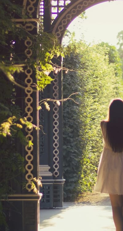 Flower bulbs being planted in a garden