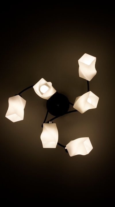 Three crucial aspects of bulb maintenance.