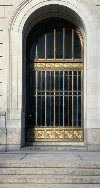 Allium bulbs, a variety of shapes and colors