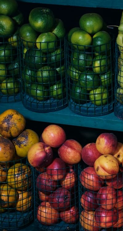 Spring flowering bulbs in containers for continuous blooms.