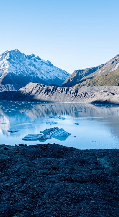 A meandering pathway adorned with delicate Canterbury Bell blooms.