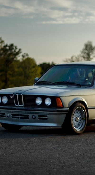 Thinning carrot seedlings for optimal growth and harvest.