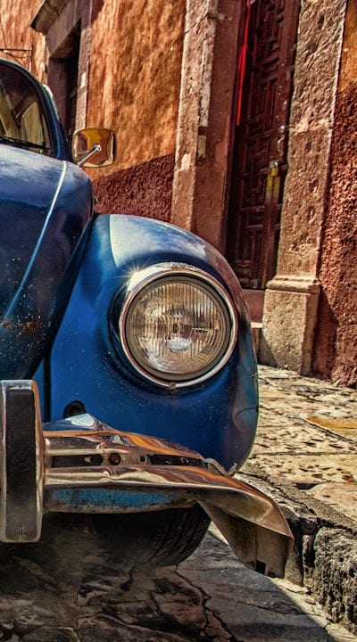 Thinning carrot seedlings promotes healthy root development.