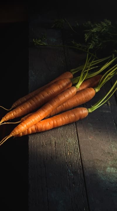 Germinating carrot seeds in seed trays or direct sowing