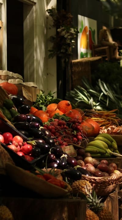 A healthy garden bed with companion plants.