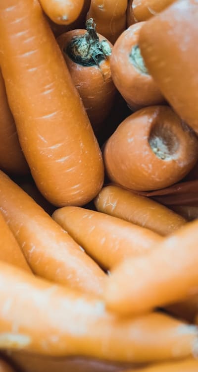 Planting peas with carrots and radishes can benefit their growth.