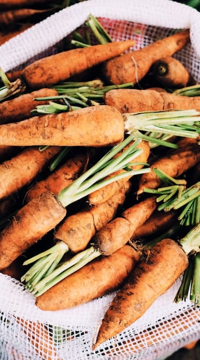 Thinning carrot seedlings for better growth and health