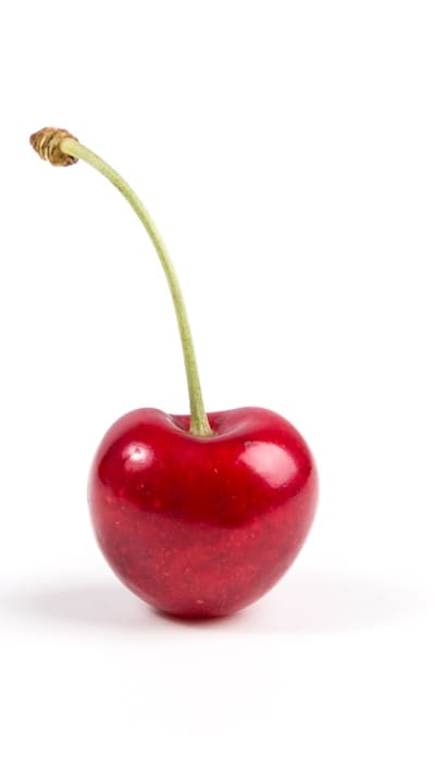 Choosing the right fruit seeds for your climate.