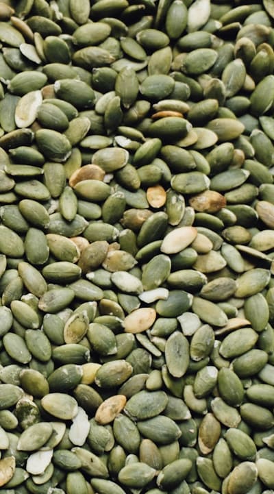 Seeds for Growing Vines: A Guide for New Gardeners