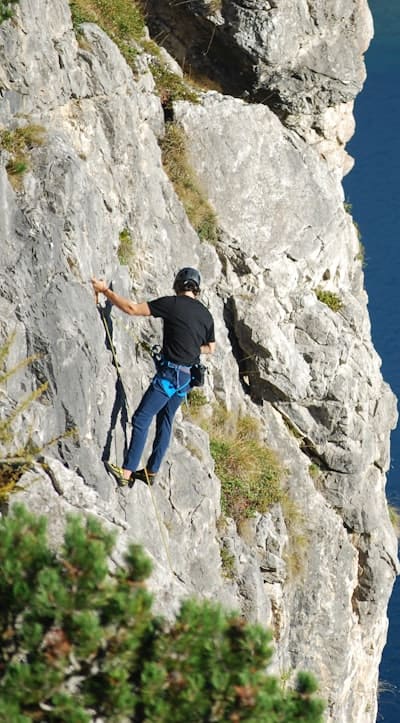 Preparing climbing plant seeds for successful germination