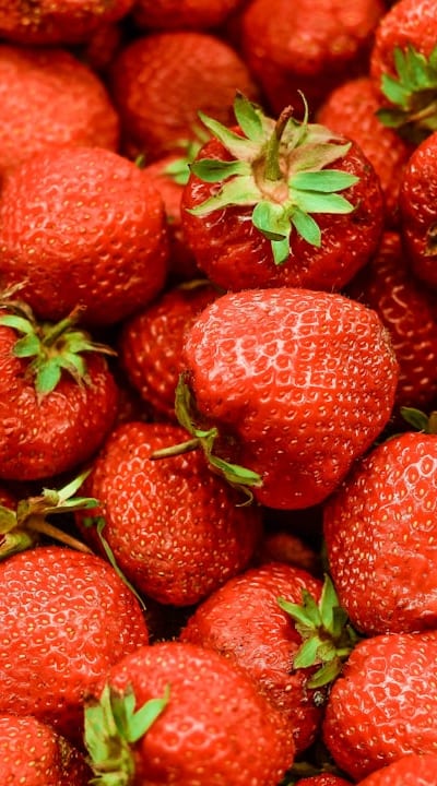 A diverse compost pile with nutrient-rich fruit seeds