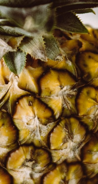 Alt text: Sprouting seeds in a compost pile