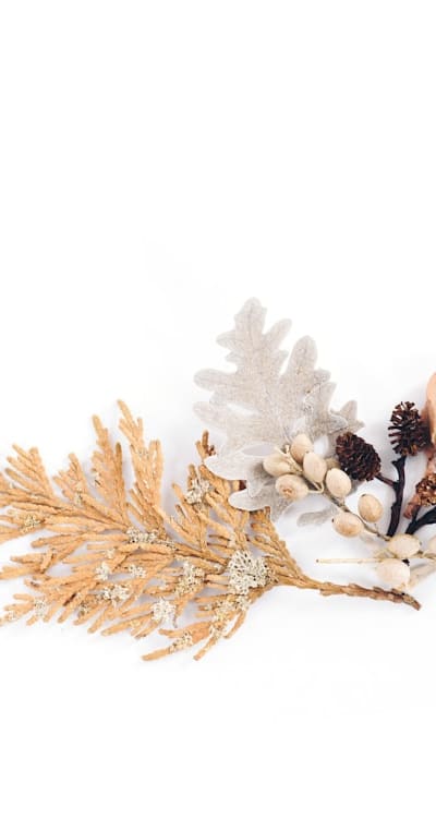 Close-up view of gymnosperm seeds on a cone