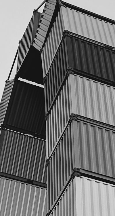 Gaillardia flowers thriving in container gardening