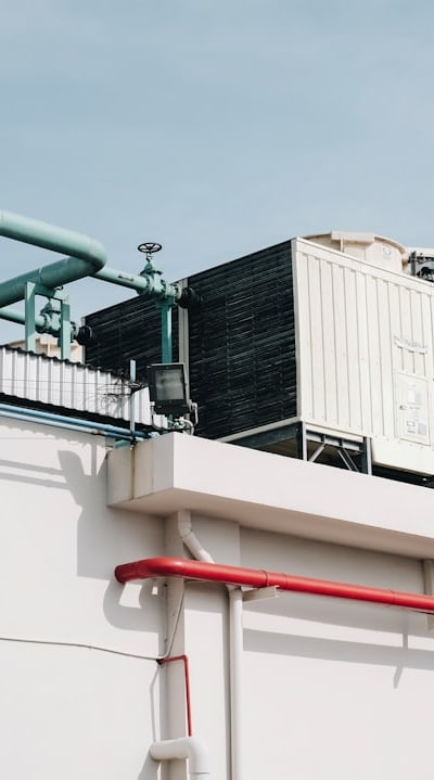 Seeds in small containers for indoor gardening.