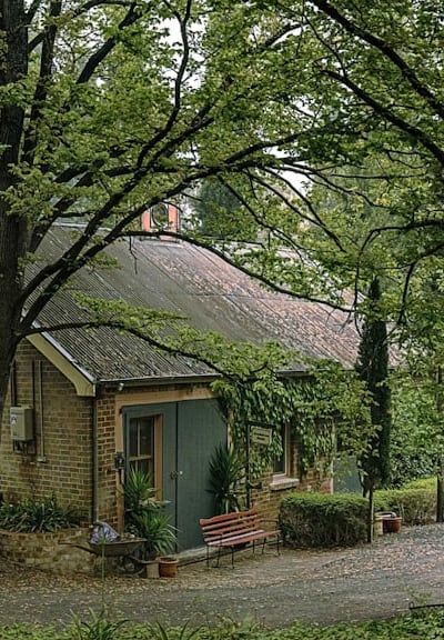 A variety of containers for cottage garden flowers.