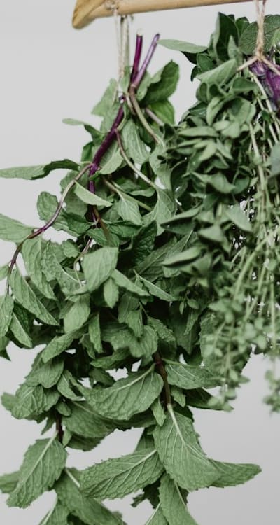 Choosing the right containers for growing herbs.