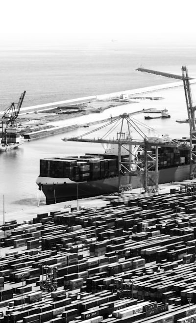 Essential supplies for starting your herb seeds