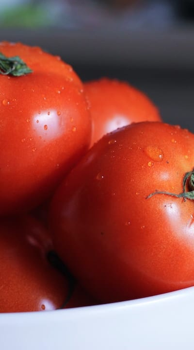 Optimal growing conditions for Tomato seeds: warmth, moisture, and tender care.