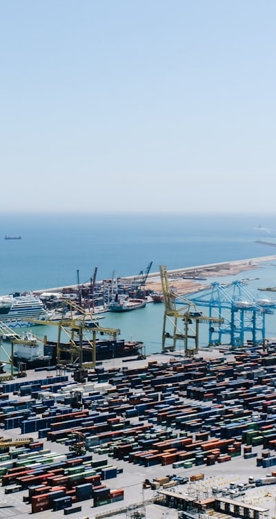 Proper seed starting techniques and disease prevention