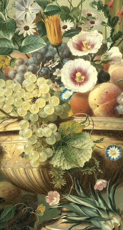 Vibrant cosmos flowers in a variety of colors