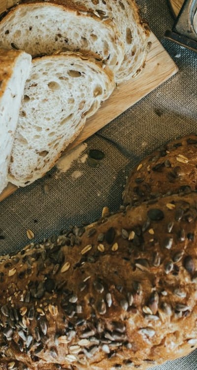 Cotyledon emerging from soil, supporting plant growth