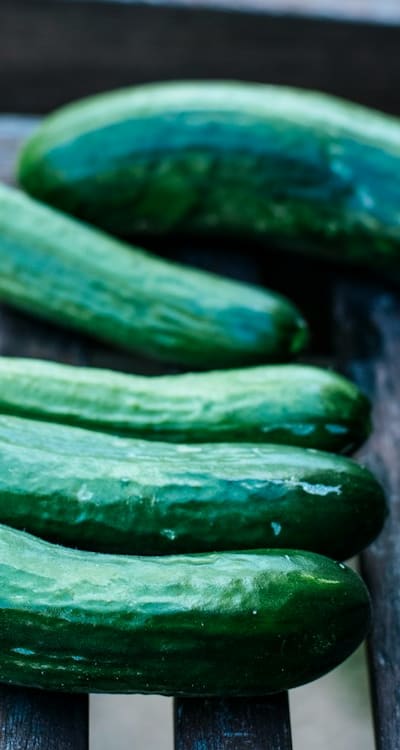 A freshly harvested cucumber bursting with flavor