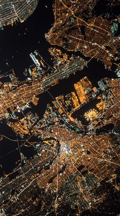 Natural pest control solution for organic gardeners