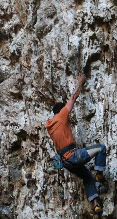 Tips for enhancing germination success in climbing plants