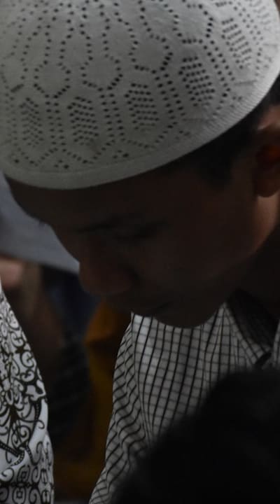 Alt text: Saving and storing seeds from fast-growing flowers