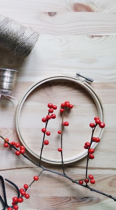 Guidelines for fertilizing and feeding herb seedlings