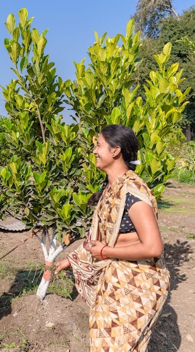 Soil being fertilized for wildflower garden