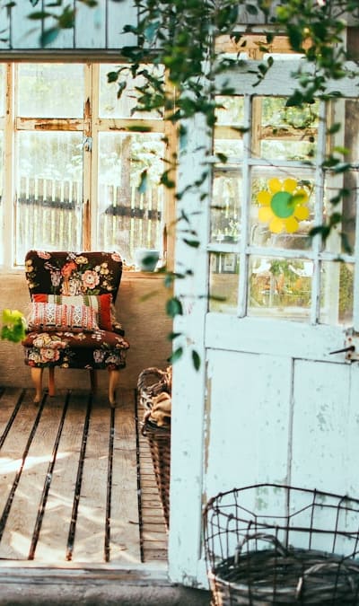 Rare cut flower seeds bring extraordinary blooms.